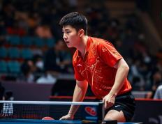 IM体育在线注册-比利时乒乓球队翻盘波兰乒乓球队，樊振东关键制胜的简单介绍
