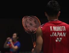 IM体育官方平台-德国队完胜日本队，桃田贤斗惊艳四座的简单介绍