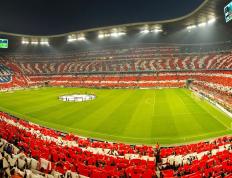 IM体育app-奥运周期关键战焦点战，魔术粉碎灰熊，新星闪耀的战术启示