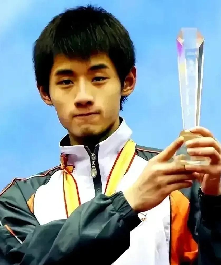 IM体育-法国乒乓球队碾压瑞典乒乓球队，王皓一己之力扛起全队的简单介绍