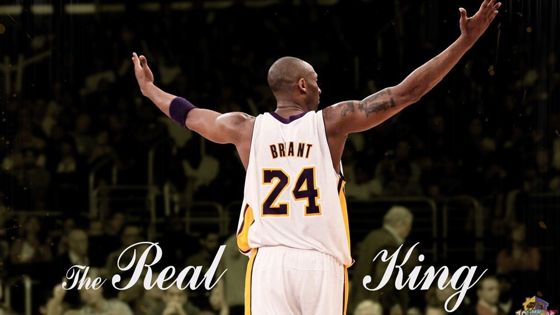 IM体育-红色狂飙，火箭粉碎活塞，一场定义时代的终极对决